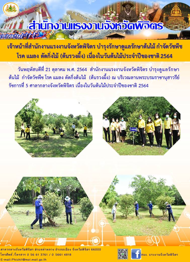 Mol-Thailand